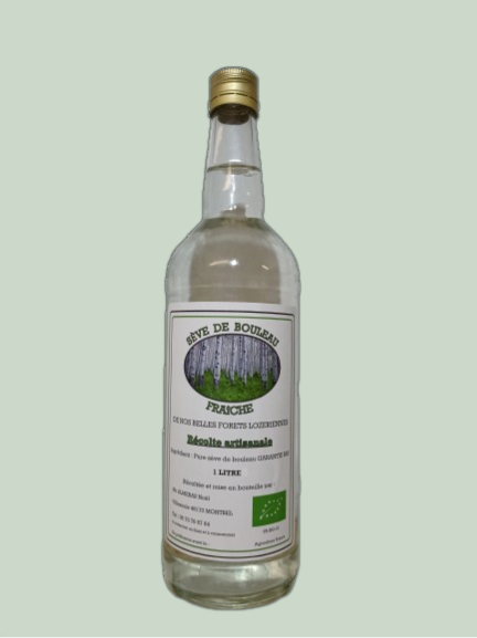 Bouteille de sève de bouleau